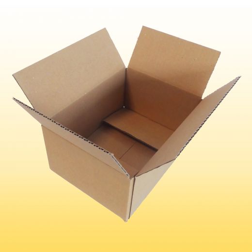 200 Karton 20 cm x 15 cm x 9 cm (BxTxH)